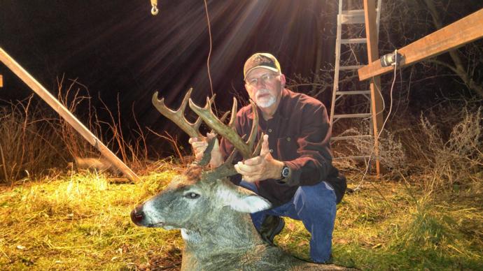 2016 deer Photo